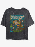 Scooby Doo Mystery Poster Girls Mineral Wash Crop T-Shirt | Premium Unisex T-Shirt, Trending Graphic Tee