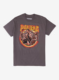 Pantera Band Portrait Flames T Shirt