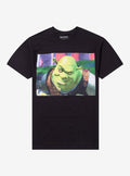Shrek Smirk Panel TShirt Graphic Tee | Graphic Tee | Unisex Shirt | High-Quality Print
