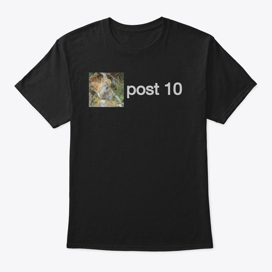 Post 10 Squirrel Shirt