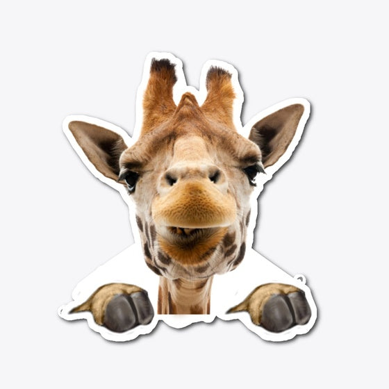 Ll 1 Giraffe Happy Die Cut