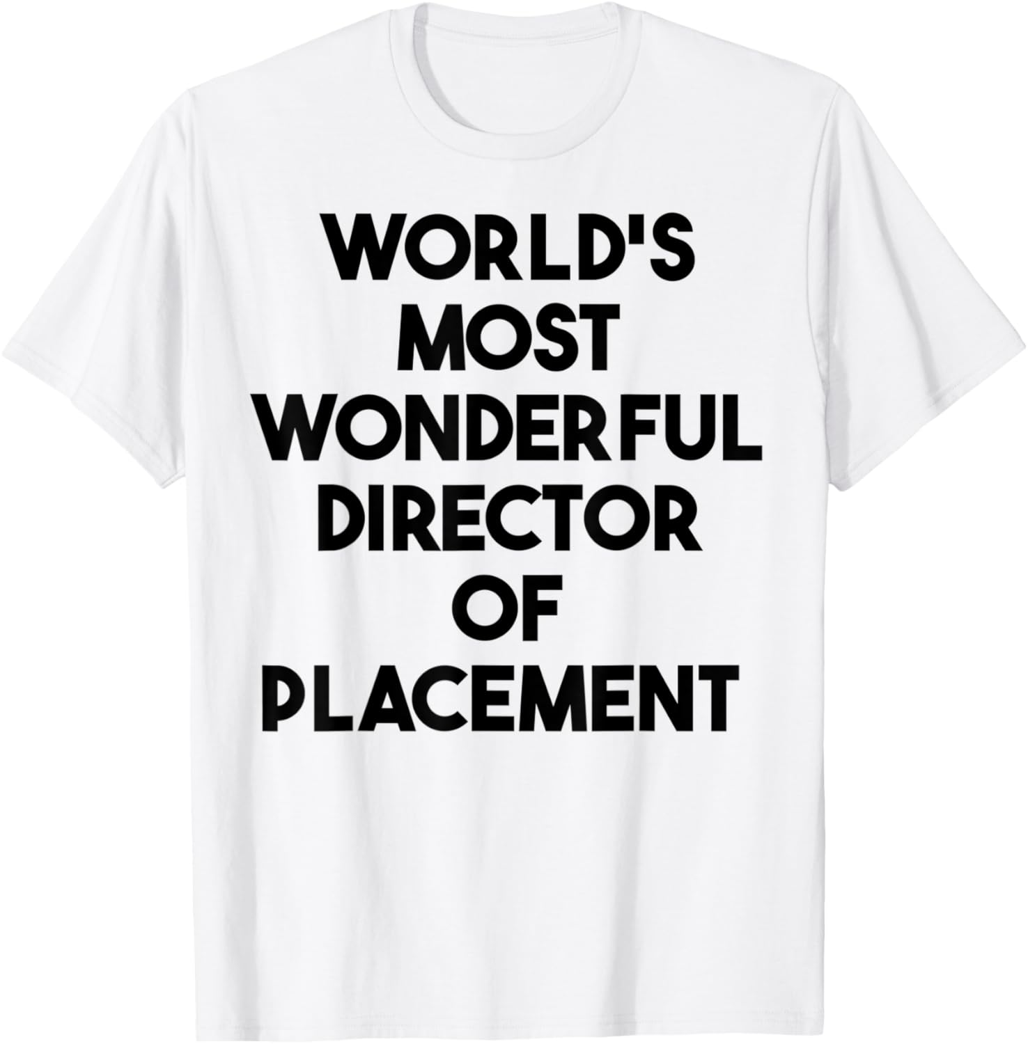 World's Most Wonderful Director Of Placement