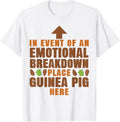 Guinea Pig In Event Of An Emotional Breakdown Place Guinea