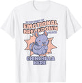 Emotional Breakdown Place Chinchillidae Breeder Chinchilla