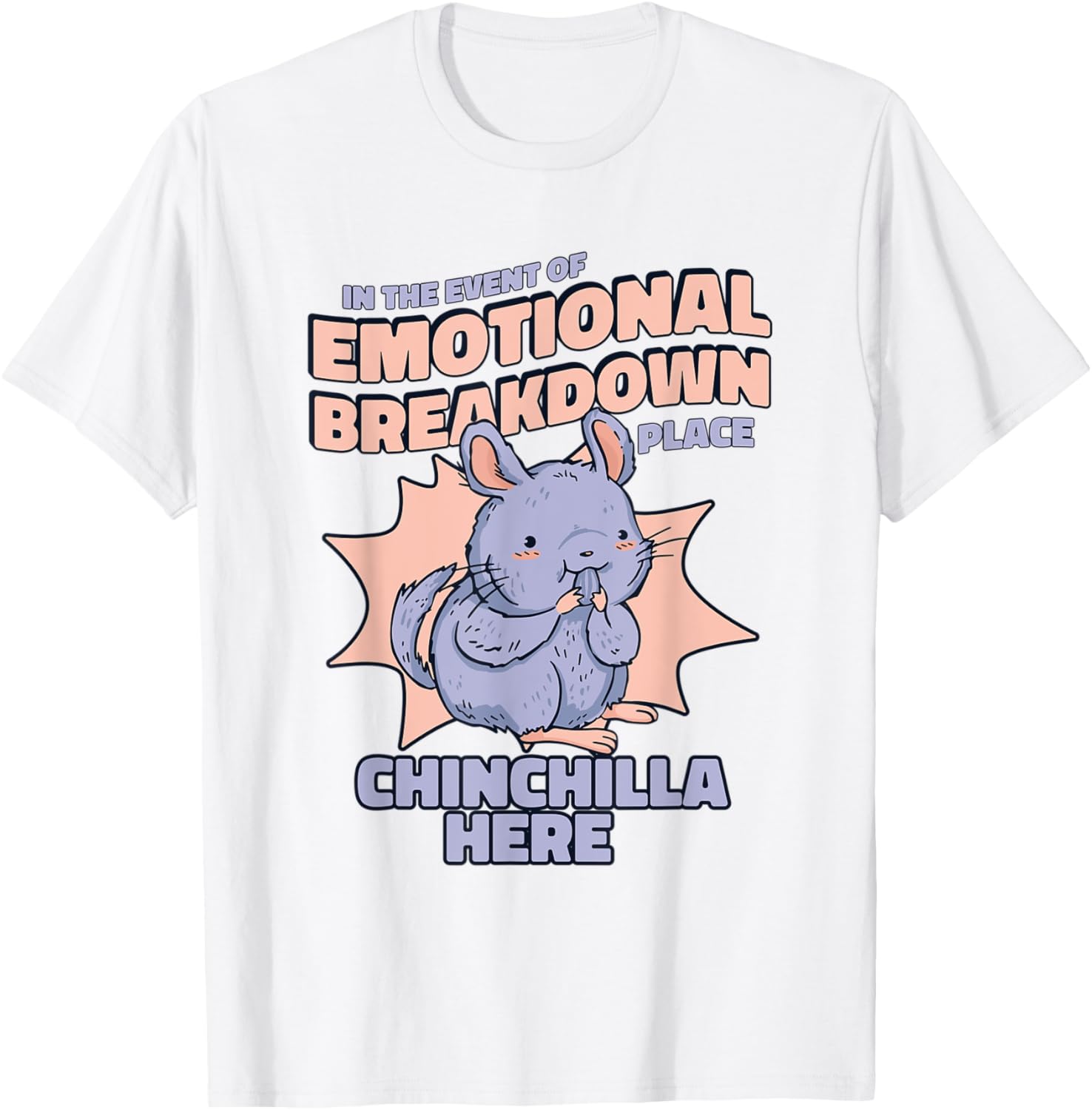 Emotional Breakdown Place Chinchillidae Breeder Chinchilla
