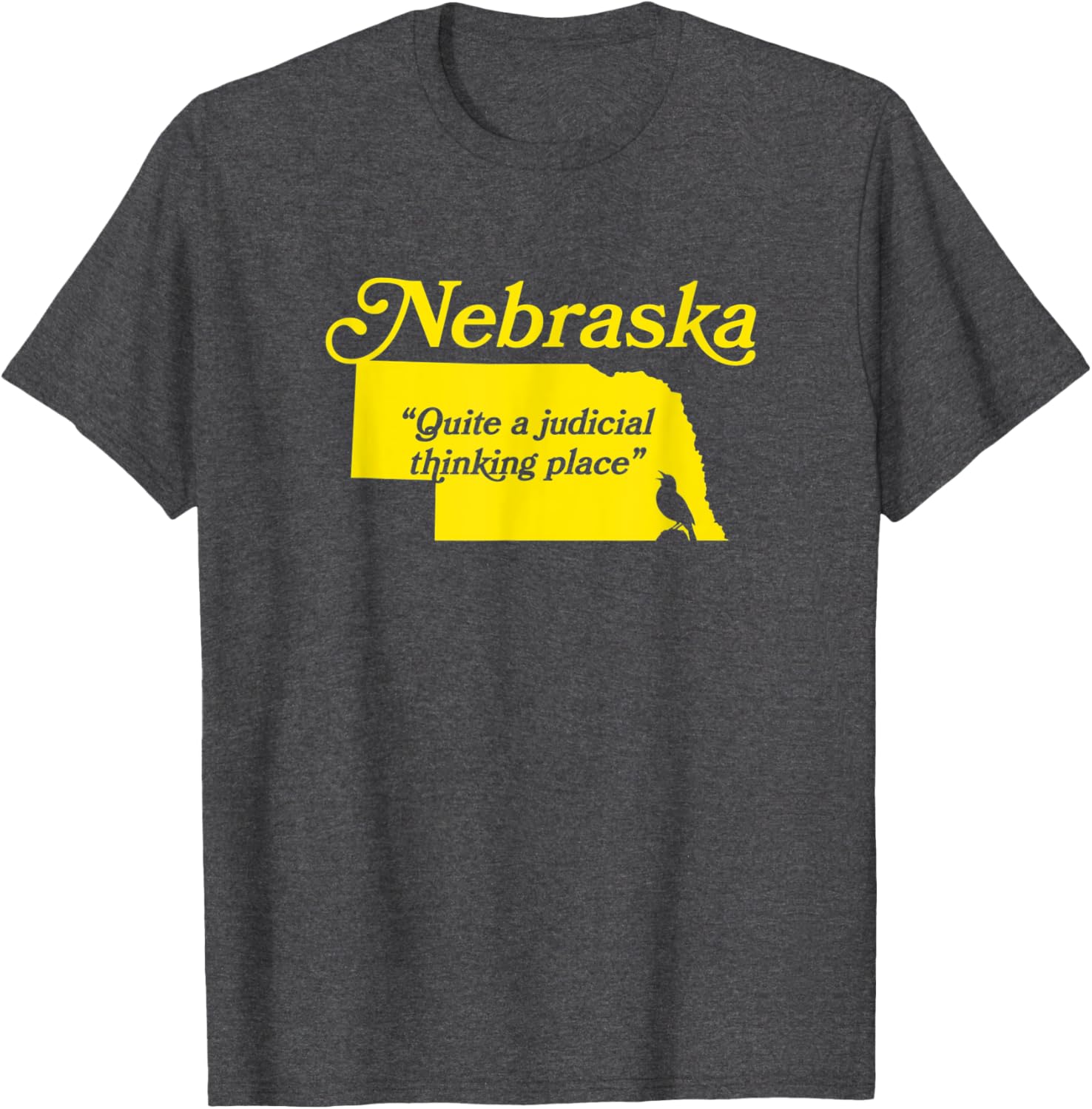Nebraska - Quite A Judicial Thinking Place State