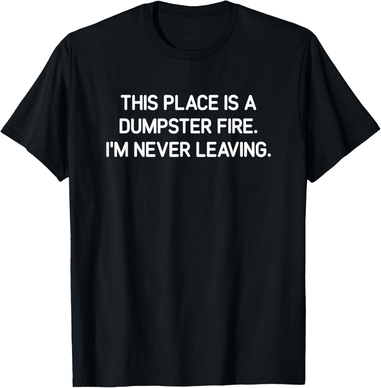 This Place Is A Dumpster Fire, Funny, Jokes, Sarcastic