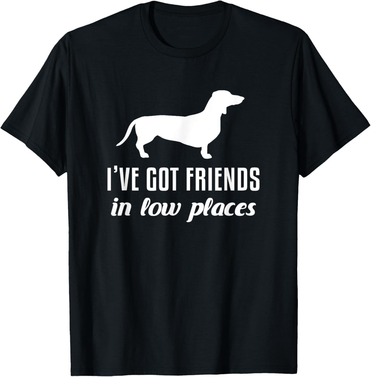 I've Got Friends In Low Places Funny Dachshund Lover