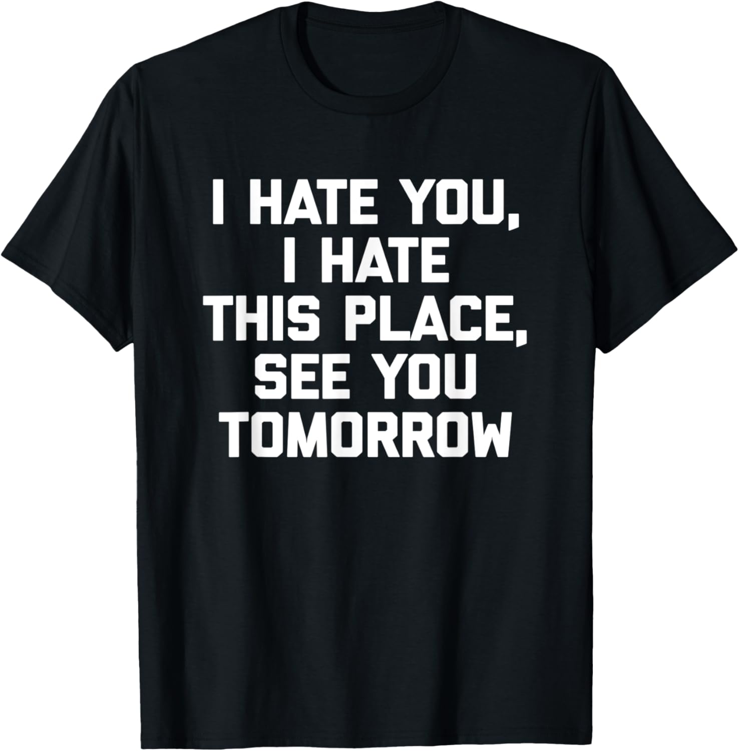 I Hate You, I Hate This Place, See You Tomorrow Tshirt Funny