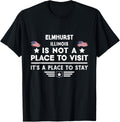 Elmhurst Illinois Place to stay USA Town Home City