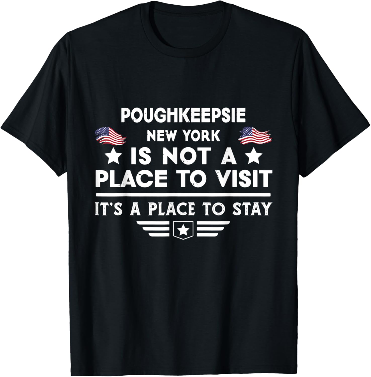 Poughkeepsie New York Place to stay USA Town Home City