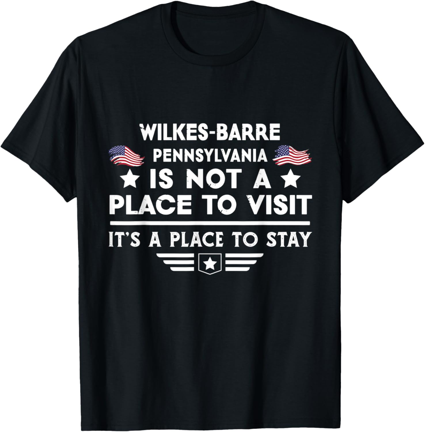 Wilkes-Barre Pennsylvania Place to stay USA Town Home City