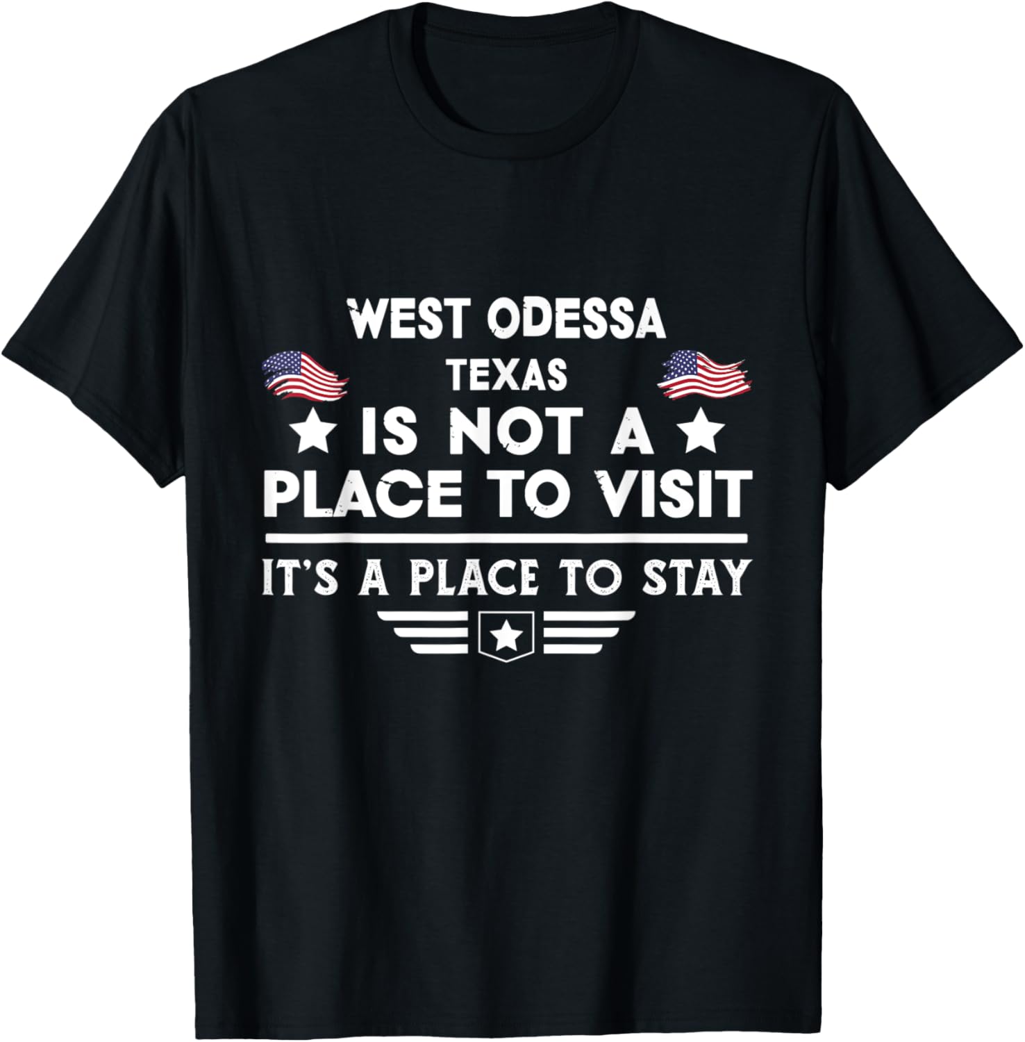 West Odessa Texas Place to stay USA Town Home City