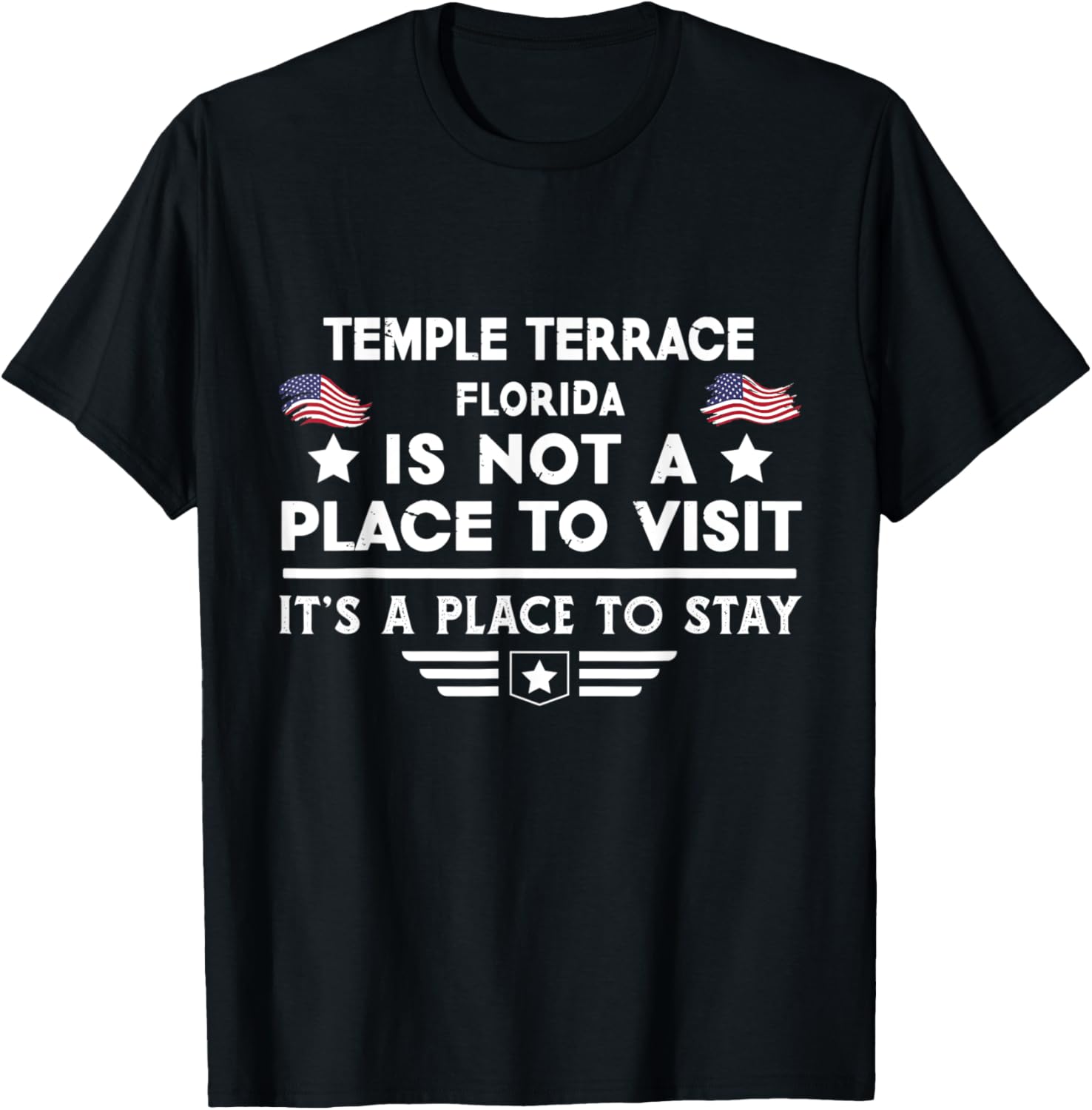 Temple Terrace Florida Place to stay USA Town Home City