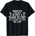Greenville Mississippi Place to stay USA Town Home City