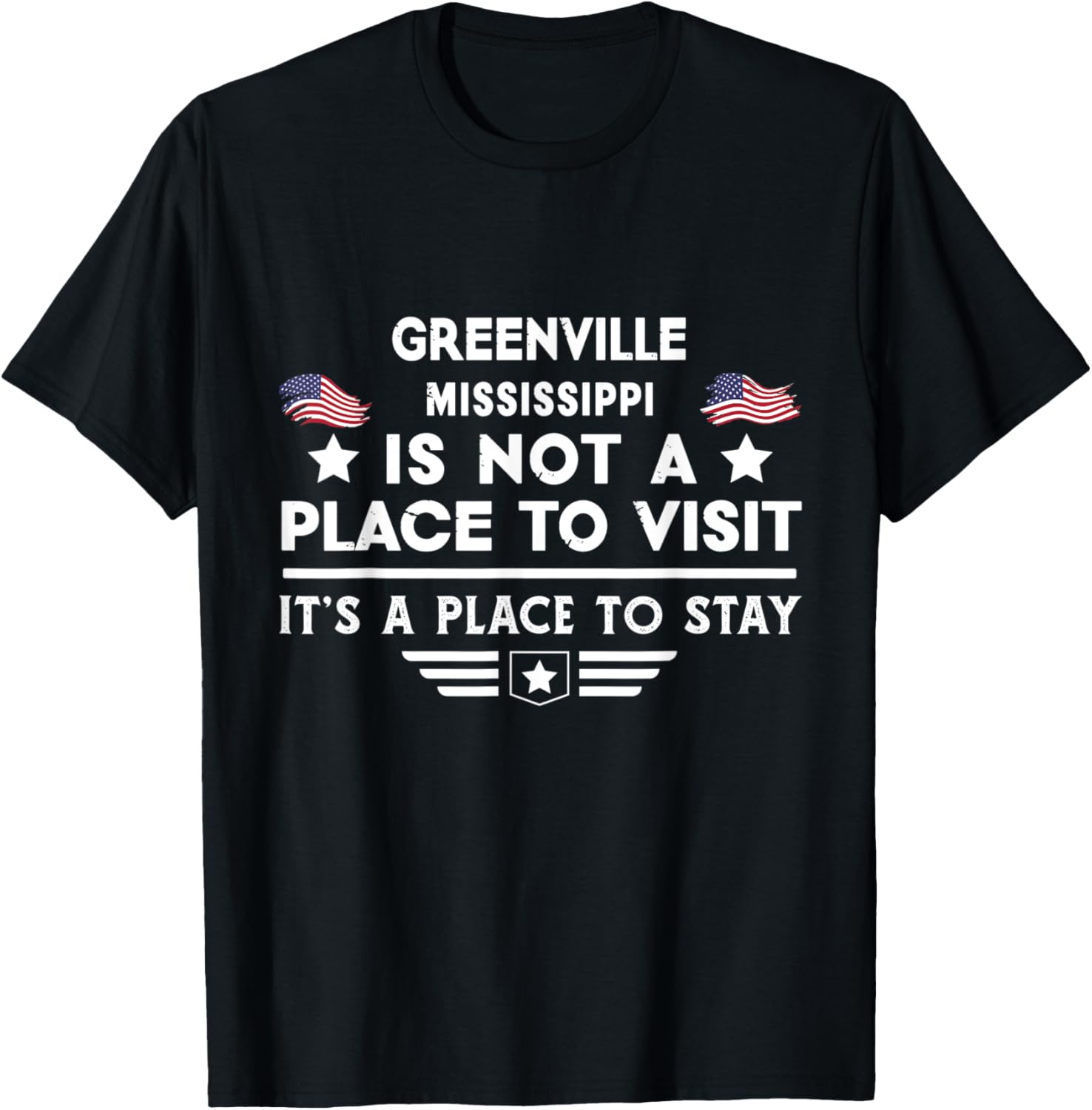Greenville Mississippi Place to stay USA Town Home City
