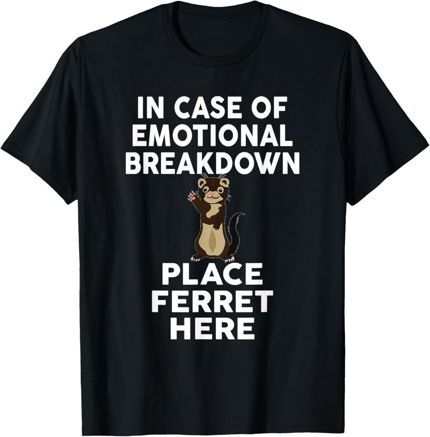 In Case Of Emotional Breakdown Place Ferret Here