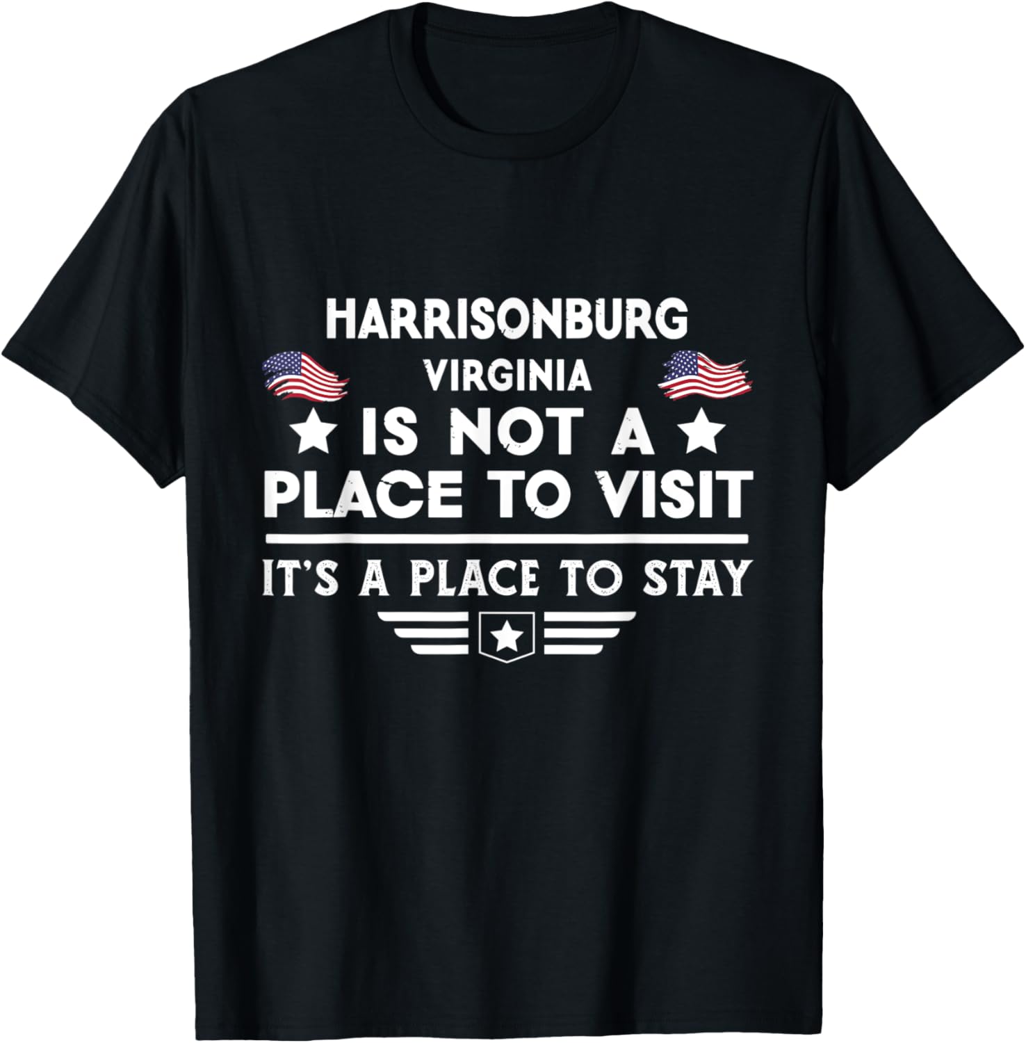 Harrisonburg Virginia Place to stay USA Town Home City