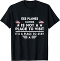 Des Plaines Illinois Place to stay USA Town Home City