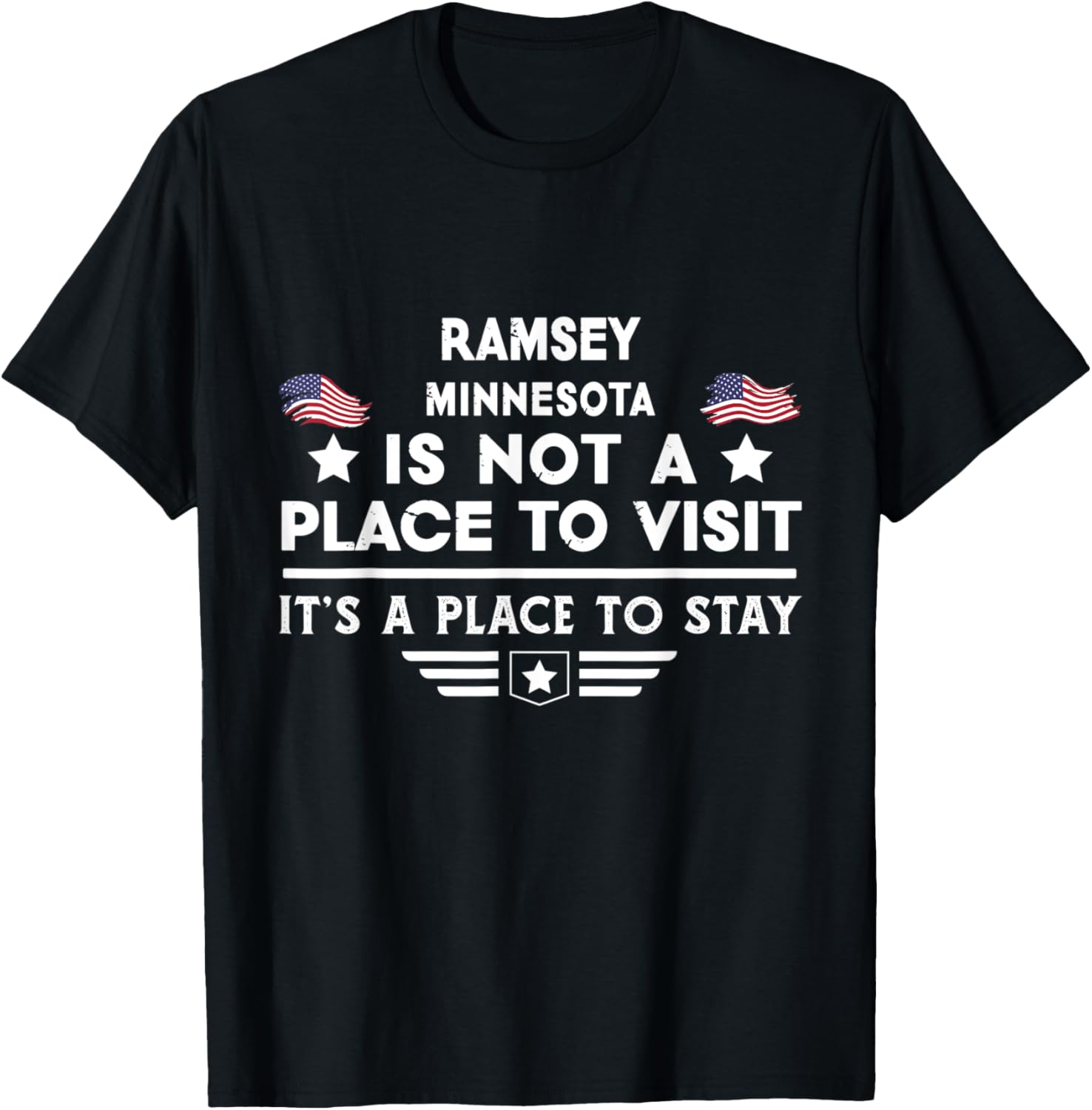 Ramsey Minnesota Place to stay USA Town Home City