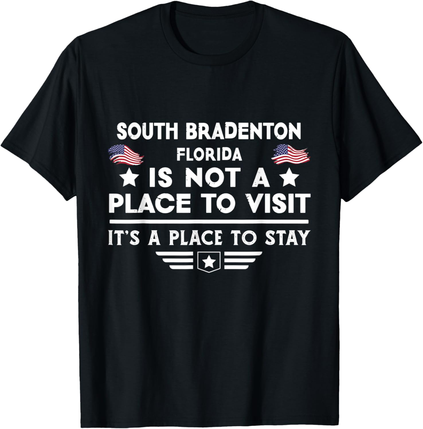 South Bradenton Florida Place to stay USA Town Home City