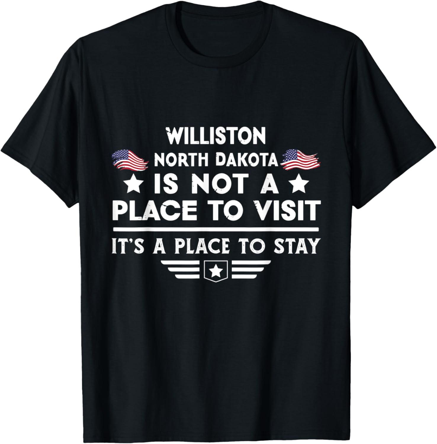 Williston North Dakota Place to stay USA Town Home City