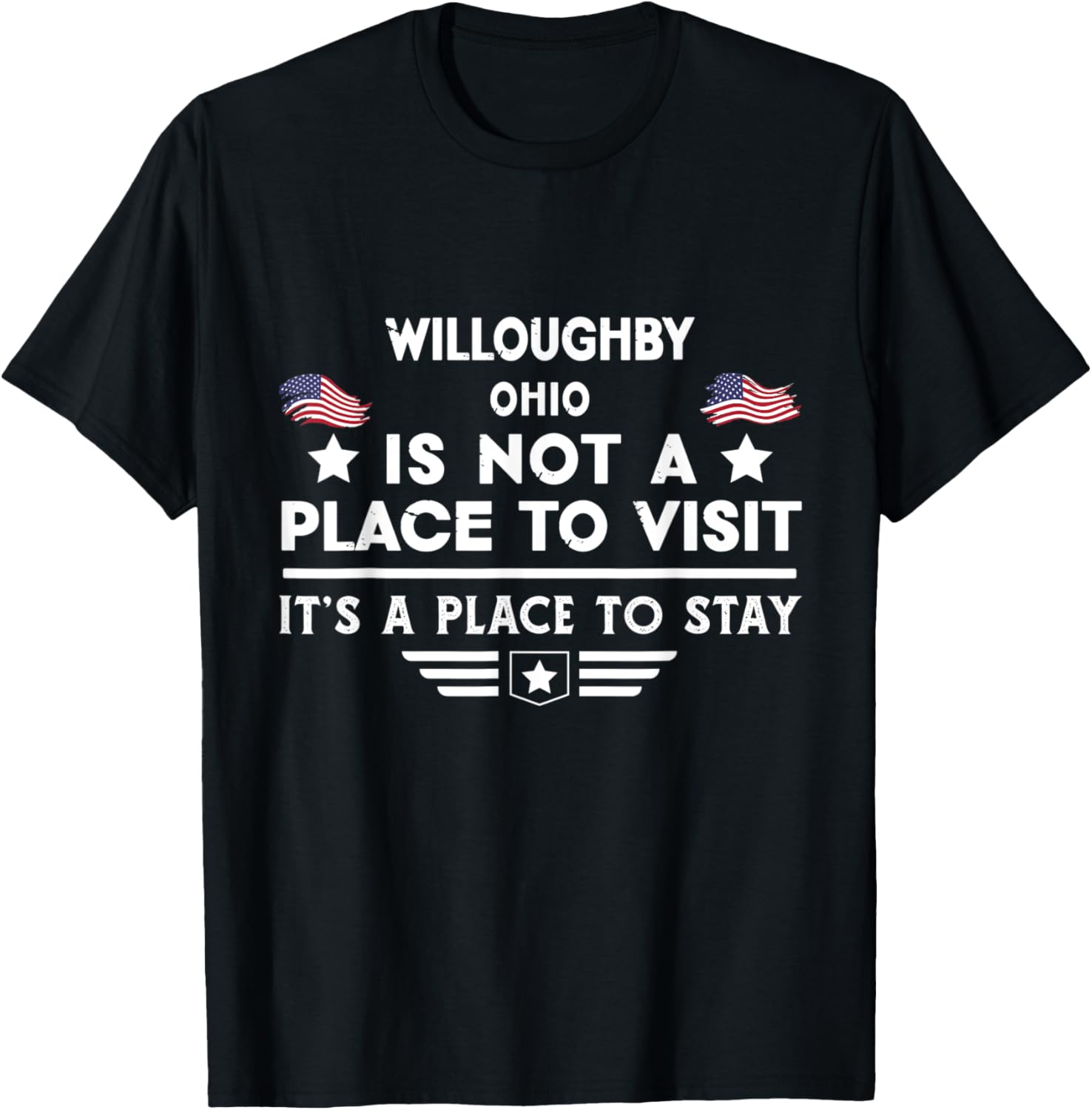 Willoughby Ohio Place to stay USA Town Home City