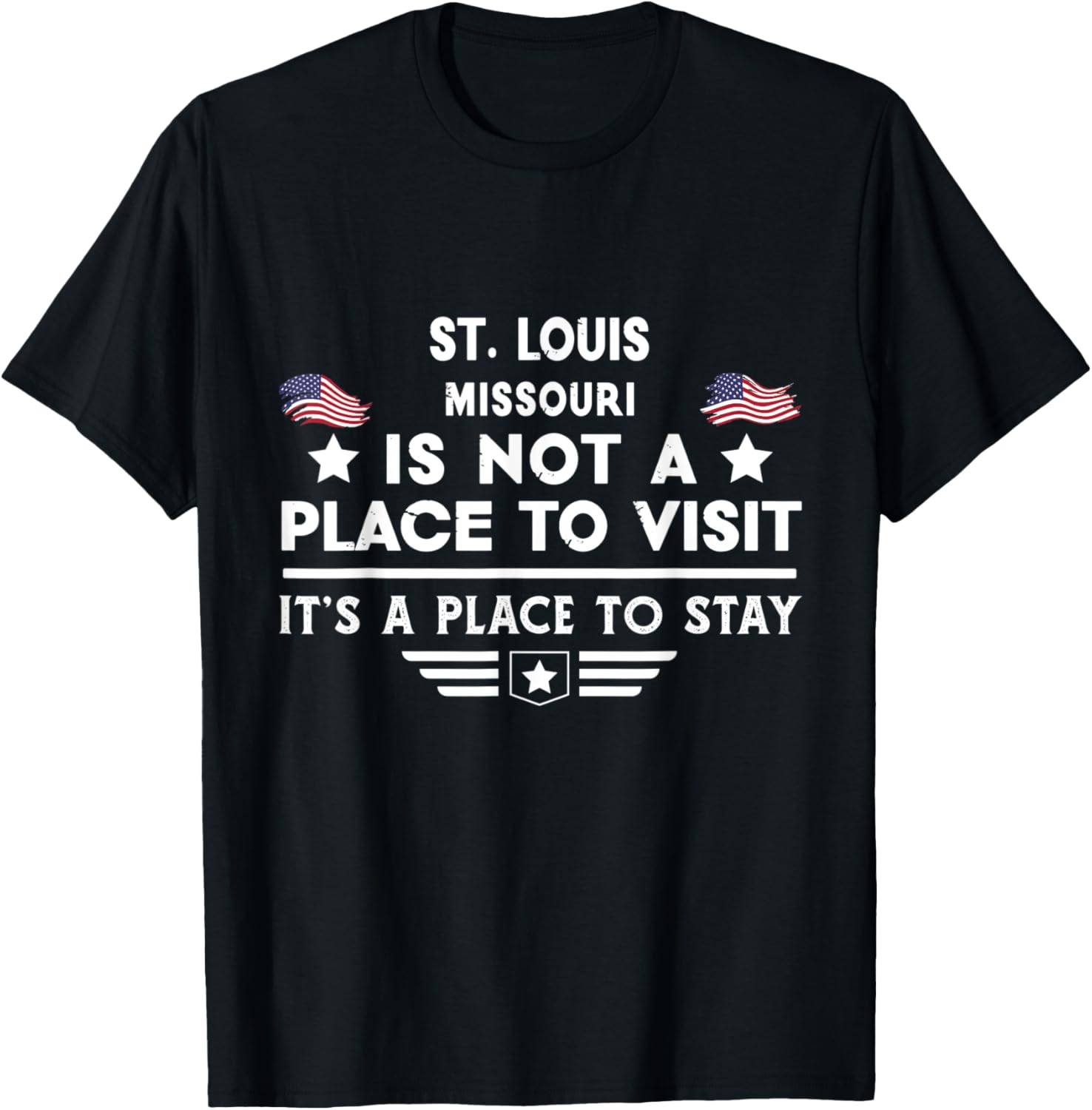 St. Louis Missouri Place to stay USA Town Home City