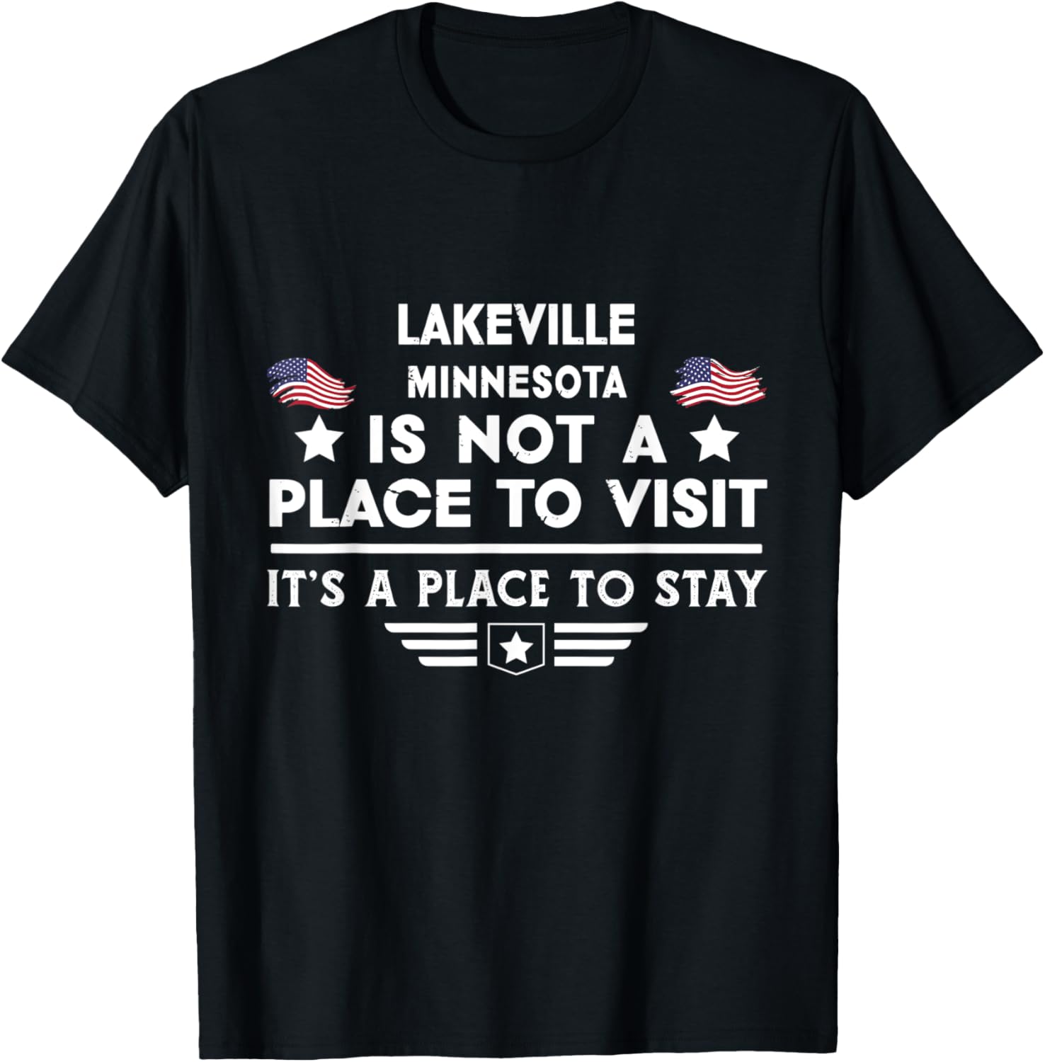 Lakeville Minnesota Place to stay USA Town Home City