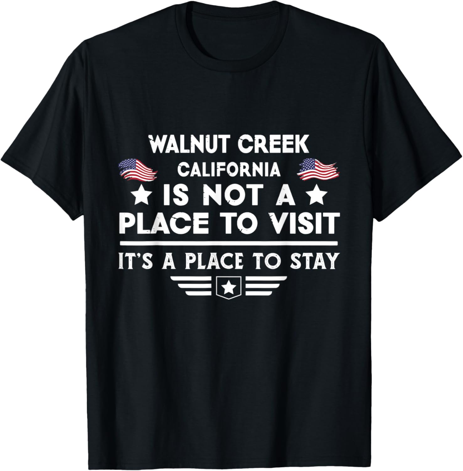 Walnut Creek California Place to stay USA Town Home City