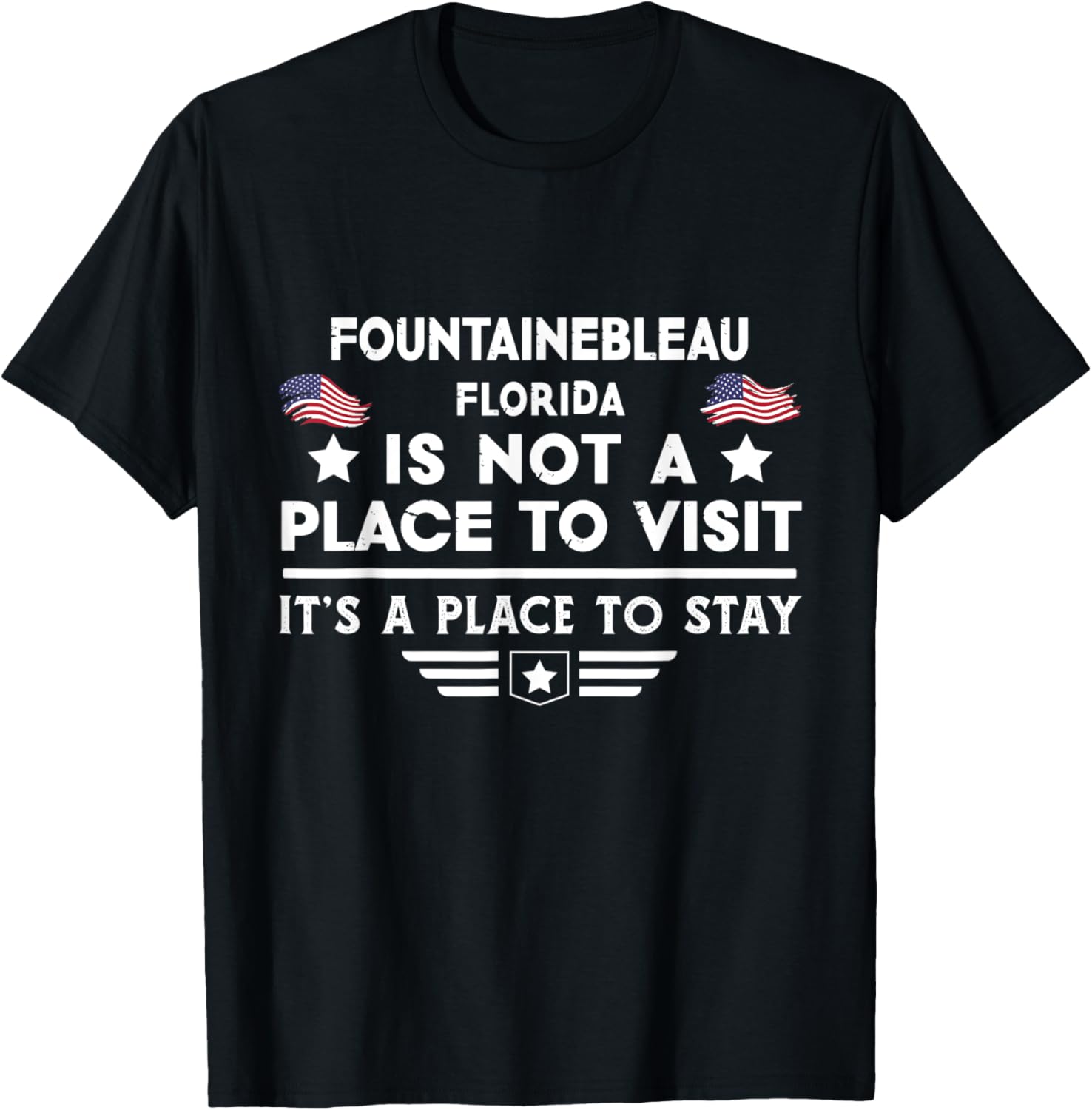 Fountainebleau Florida Place to stay USA Town Home City