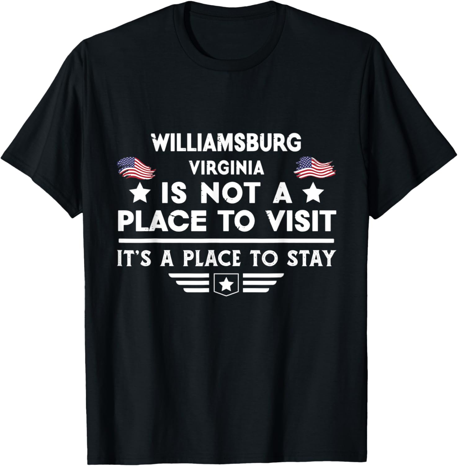 Williamsburg Virginia Place to stay USA Town Home City