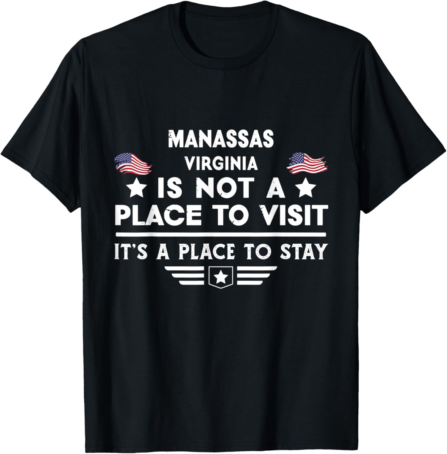 Manassas Virginia Place to stay USA Town Home City