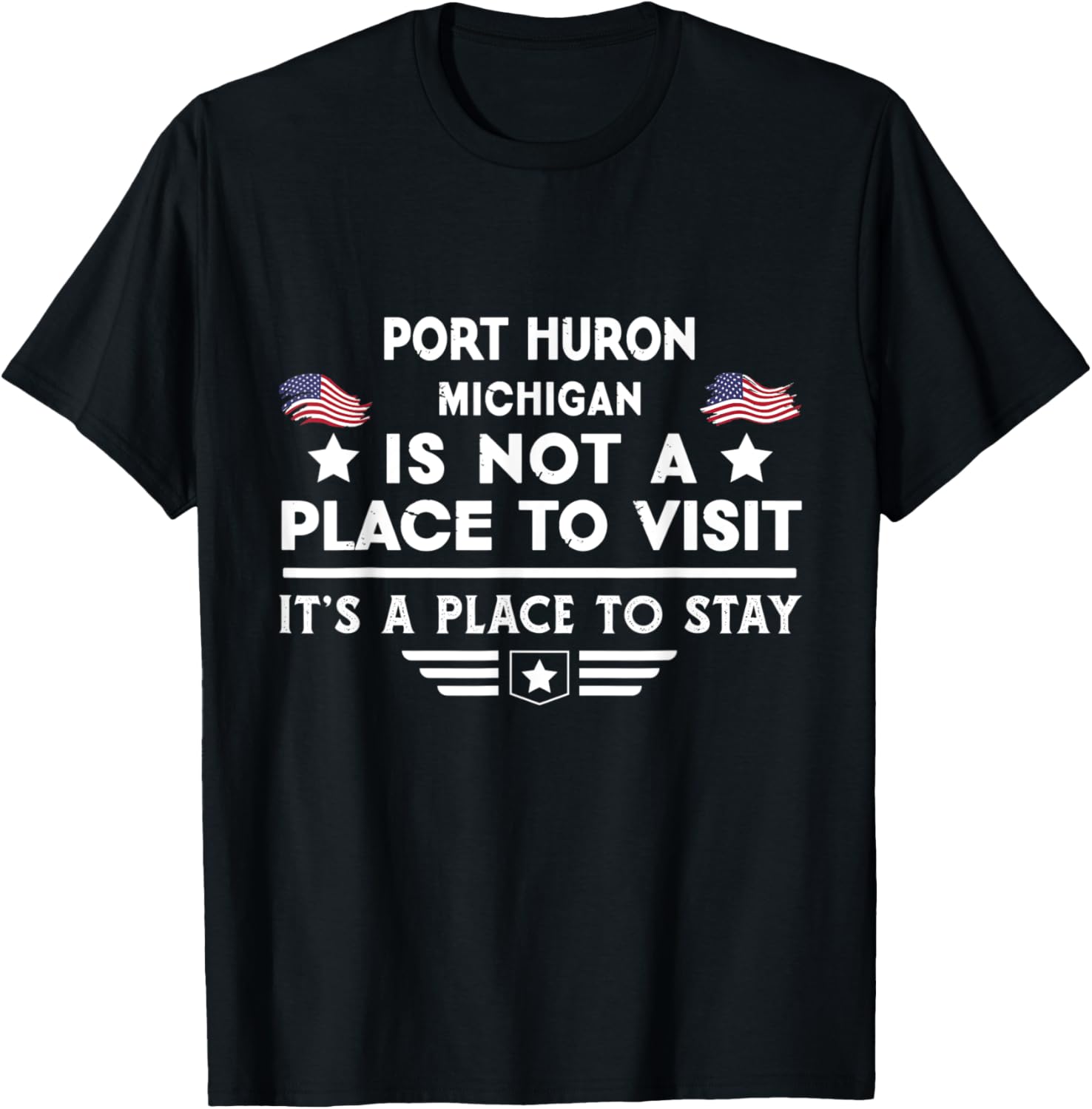 Port Huron Michigan Place to stay USA Town Home City