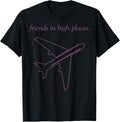 Friends In High Places Airplane