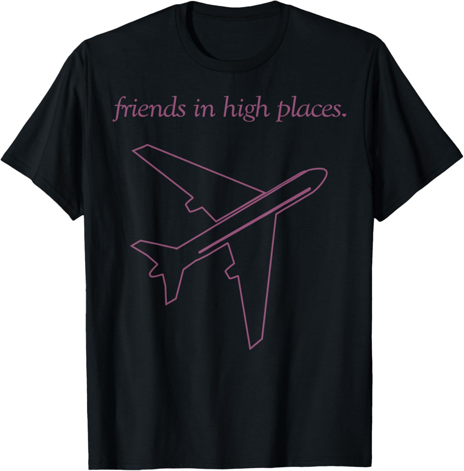 Friends In High Places Airplane
