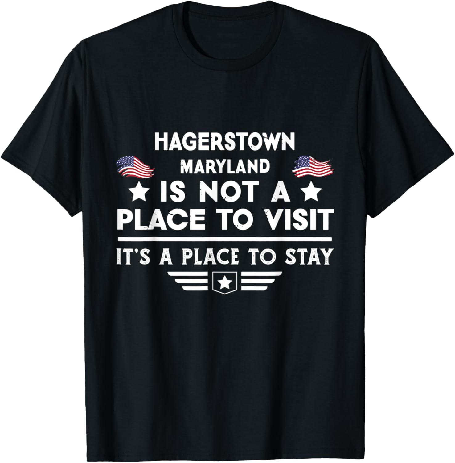 Hagerstown Maryland Place to stay USA Town Home City