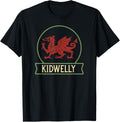 Kidwelly - Welsh places - Wales - Cymru - Welsh dragon
