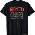 Math Geometry Only Place Where Lines Are Perpendicular Unlik