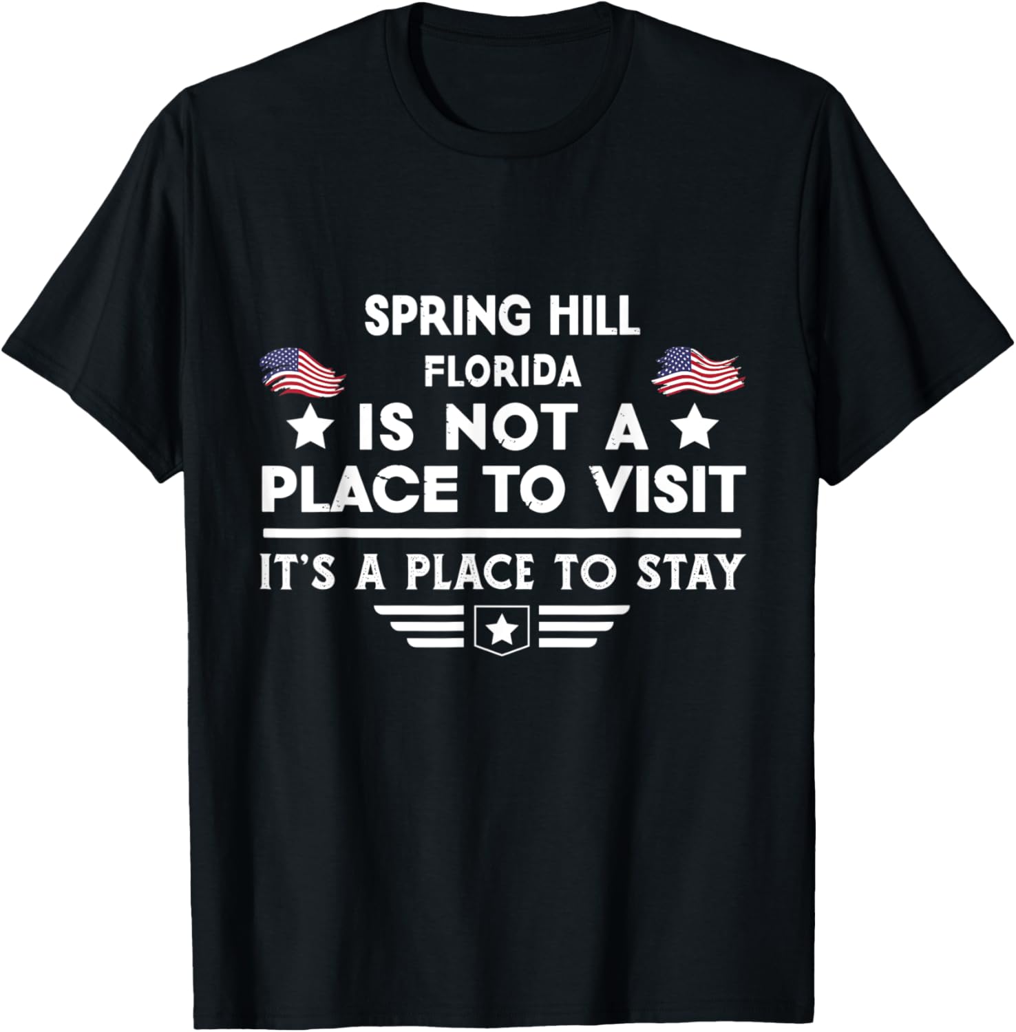 Spring Hill Florida Place to stay USA Town Home City