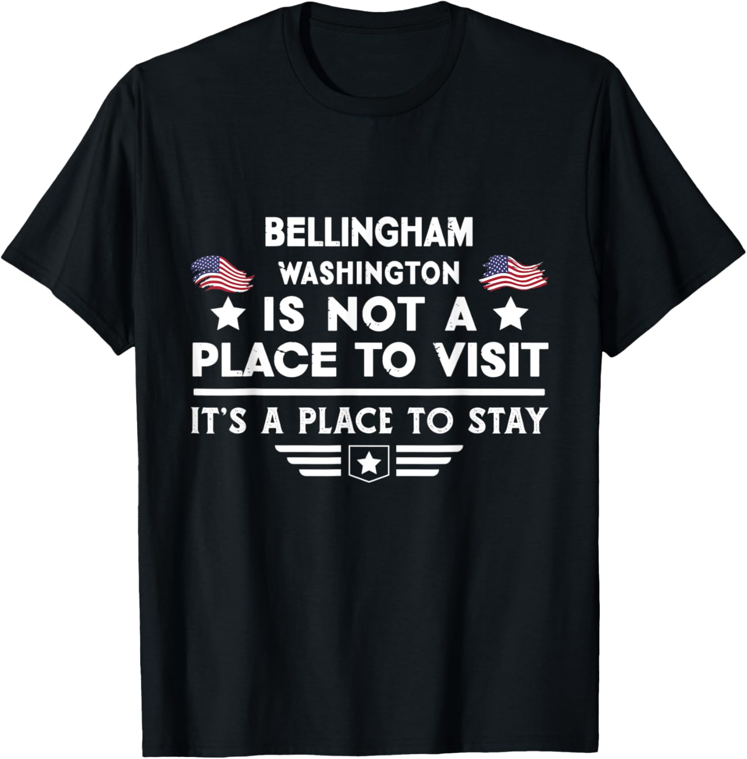 Bellingham Washington Place to stay USA Town Home City