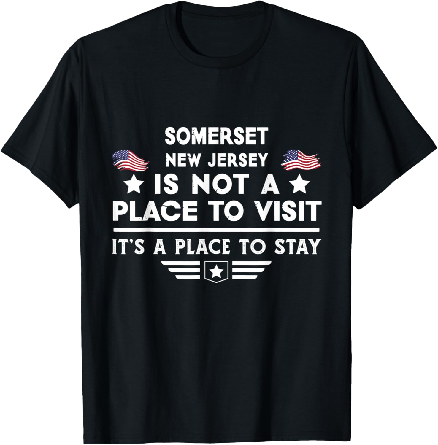 Somerset New Jersey Place to stay USA Town Home City