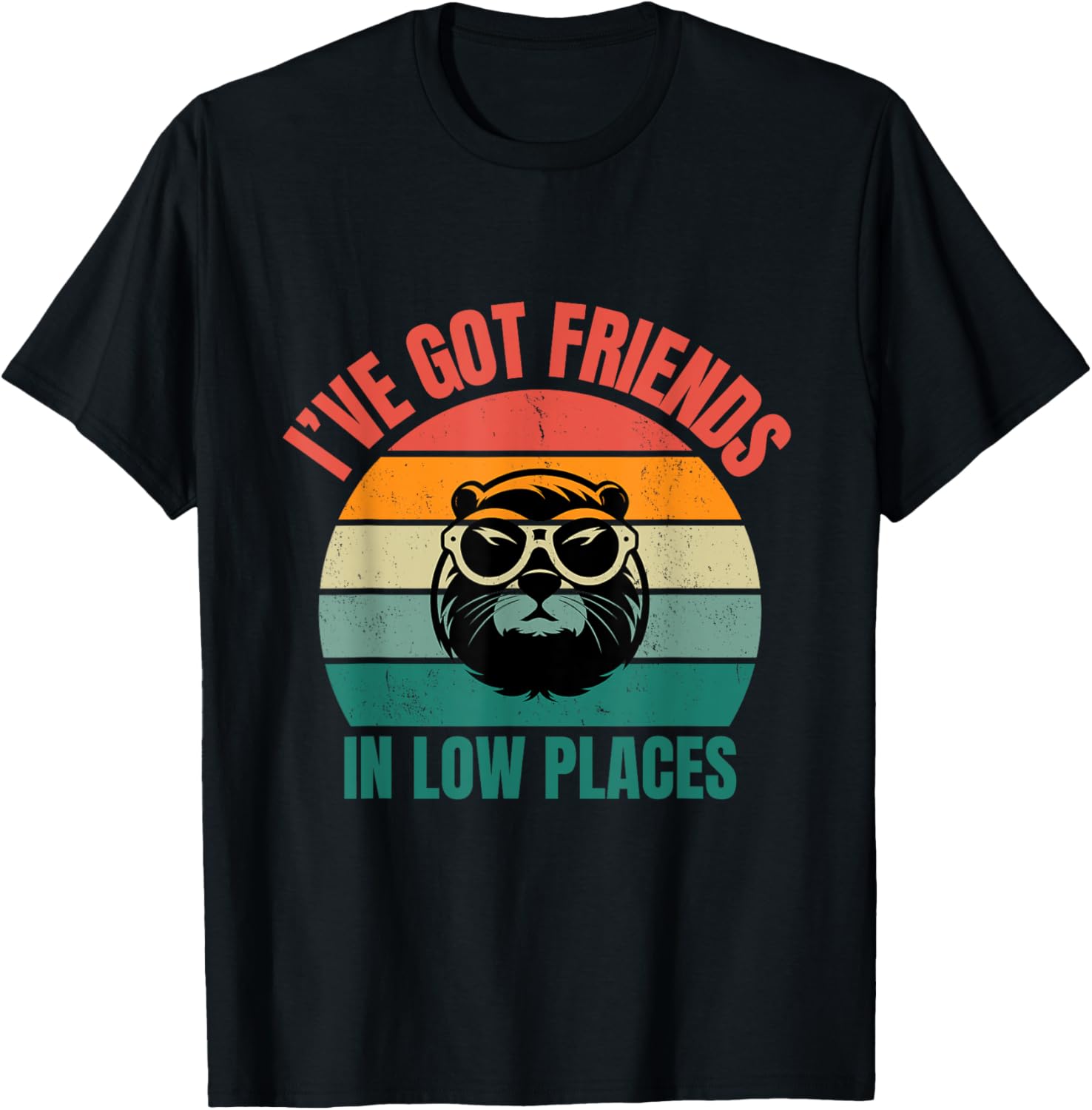 I've Got Friends In Low Places Funny Beaver