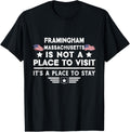 Framingham Massachusetts Place to stay USA Town Home City