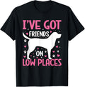 I've got friends on low Places Labrador Retriever