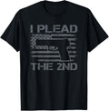 I Plead 2Nd Amendment 9Mm 45 Pistol Pro Gun Usa Flag