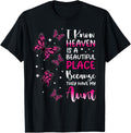 Heaven is Beautiful Place Because They Have my Aunt Angel