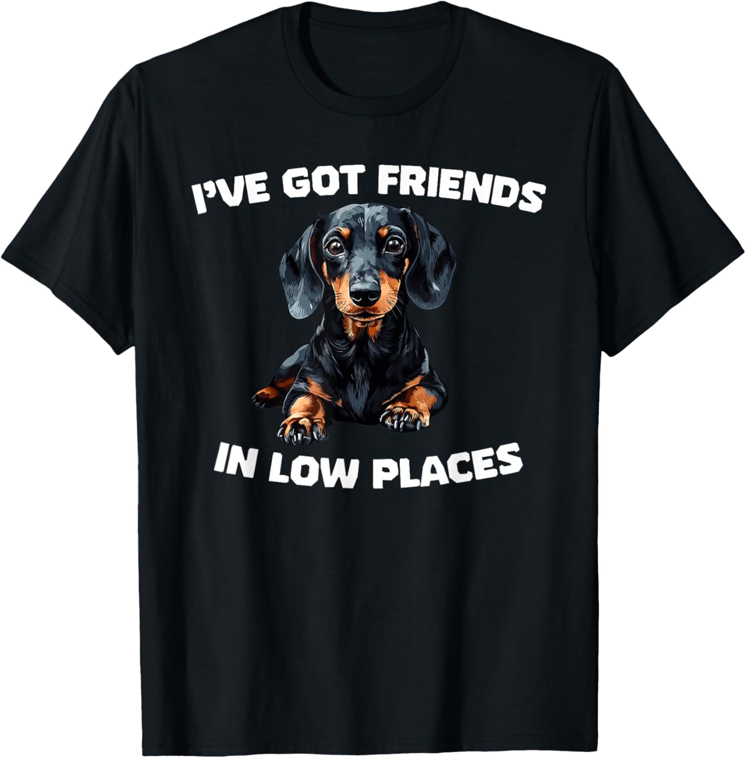 I\u2019ve Got Friends In Low Places Funny Dachshund