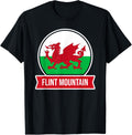 Flint Mountain - Cymru - Wales - Welsh place name flag