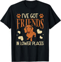 I've Got Friends In Lower Places Dachshunds Dog Dachshund